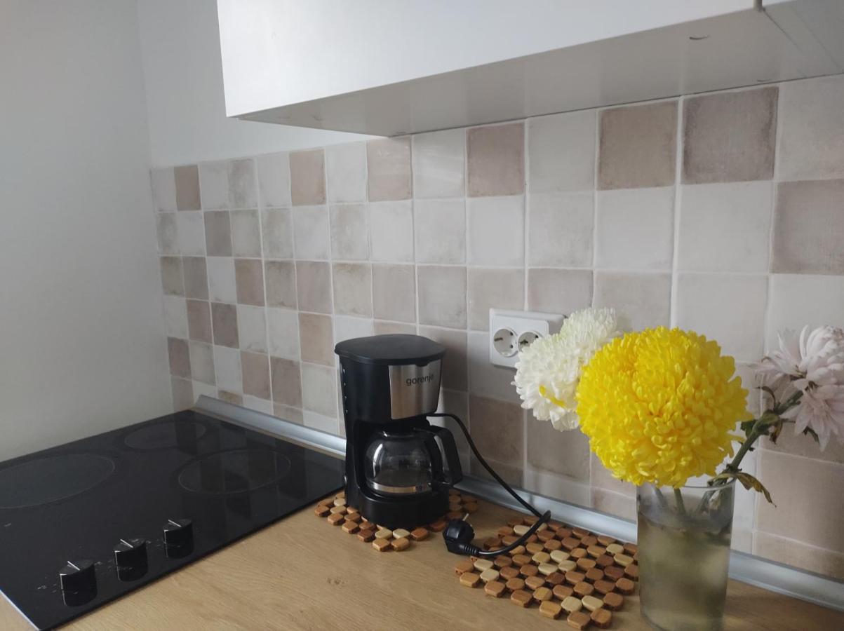 Comfy Condo Otopeni Bagian luar foto